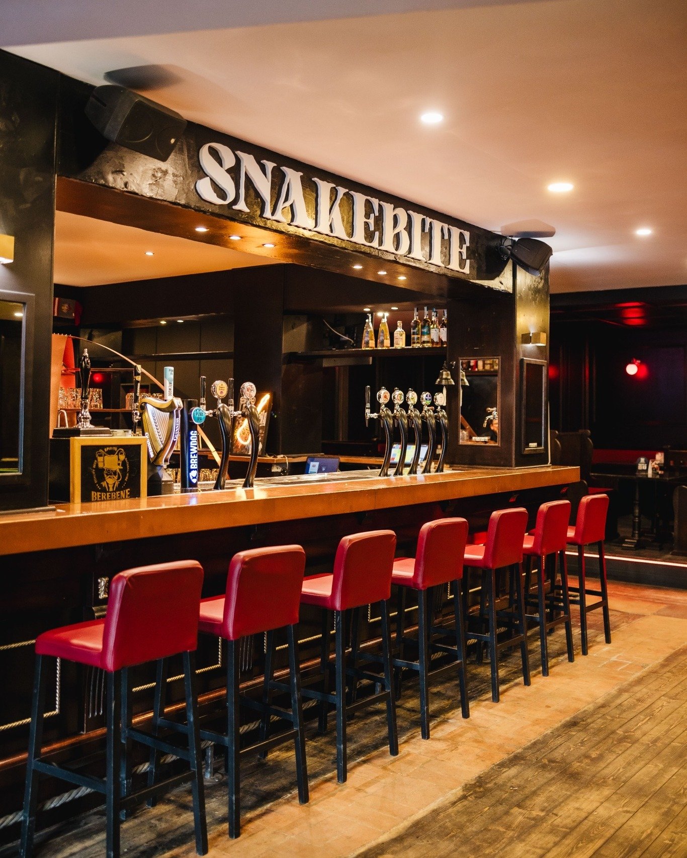 Snakebite Pub